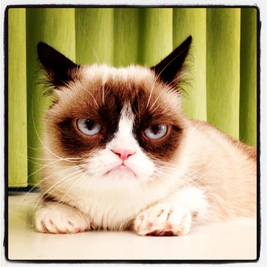 Grumpy n'est pas content
