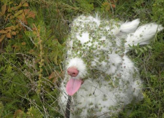 Situations dingues - 1