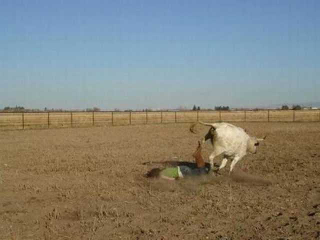 Situations dingues - 17