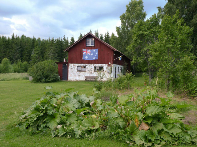 Collection de bouteilles de bières - 1