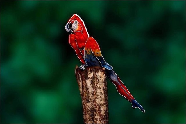 Body painting animal perroquet - 2