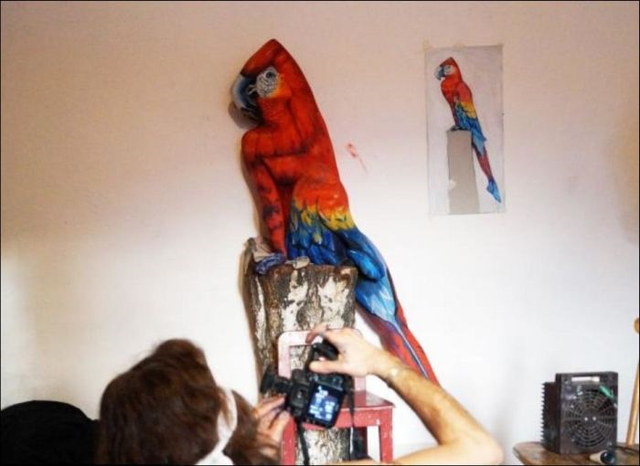 Body painting animal perroquet - 3