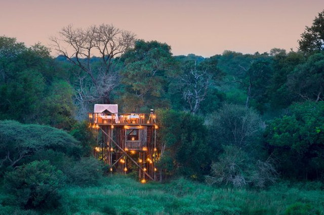 Lion Sands Game Reserve - 14