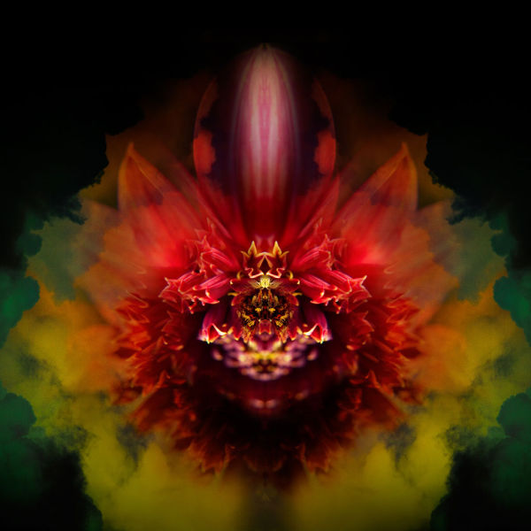 Résultats du Sony World Photography Awards 2014 - 19