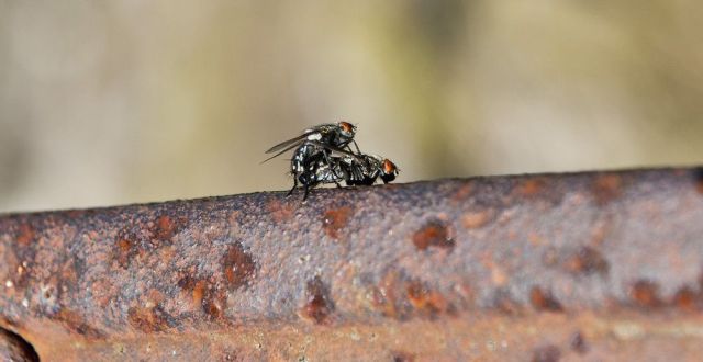 Des images très drôles - 12