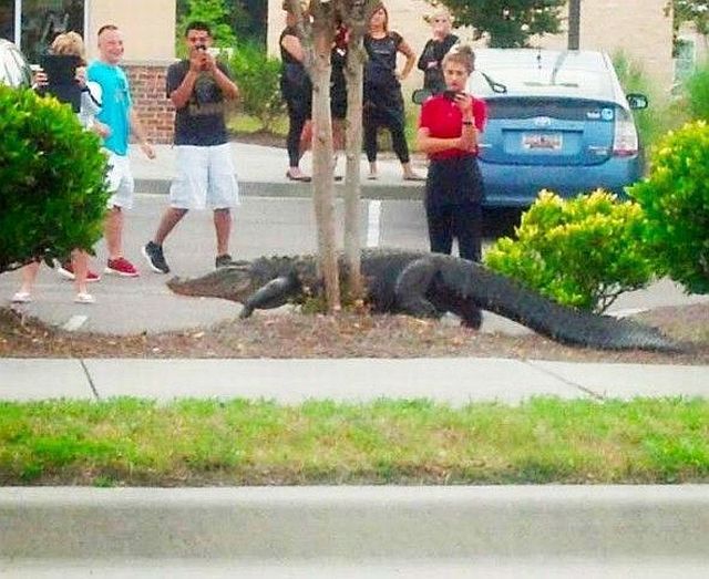 Des images très drôles - 17