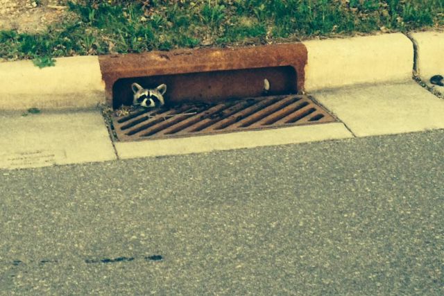 Des images très drôles - 25