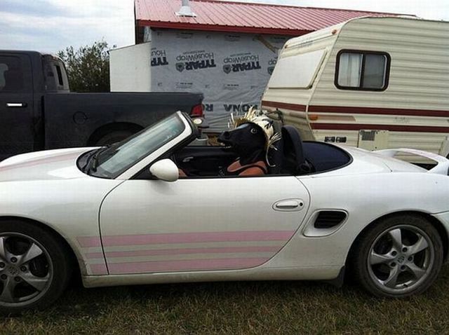 Des images très drôles - 7