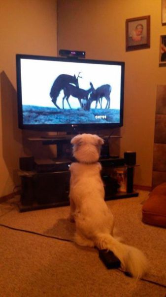 Des images très fun - 11