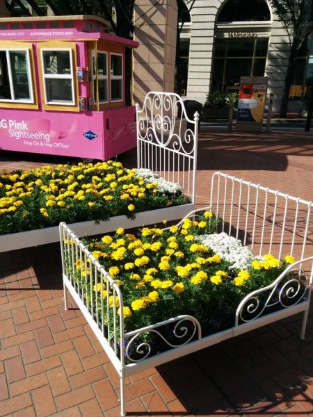 Des images très fun - 13