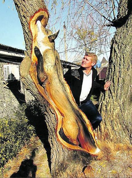 Des images très fun - 15