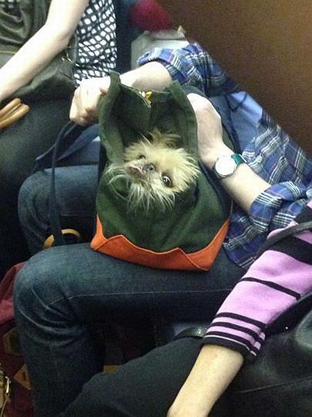 Des images très fun - 19