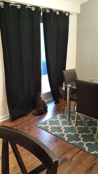 Des images très fun - 23