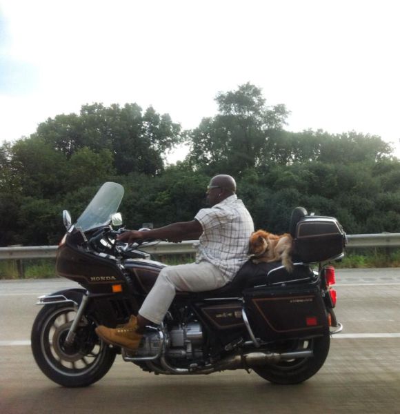 Des images très fun - 24