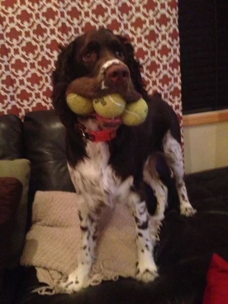 Des images très fun - 27