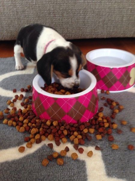 Des images très fun - 6