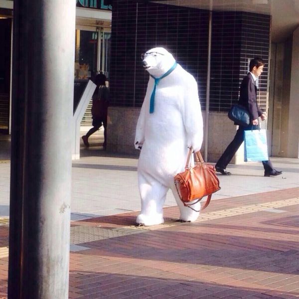 Des images très fun - 8