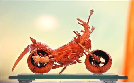 Des homards transformés en moto - 1