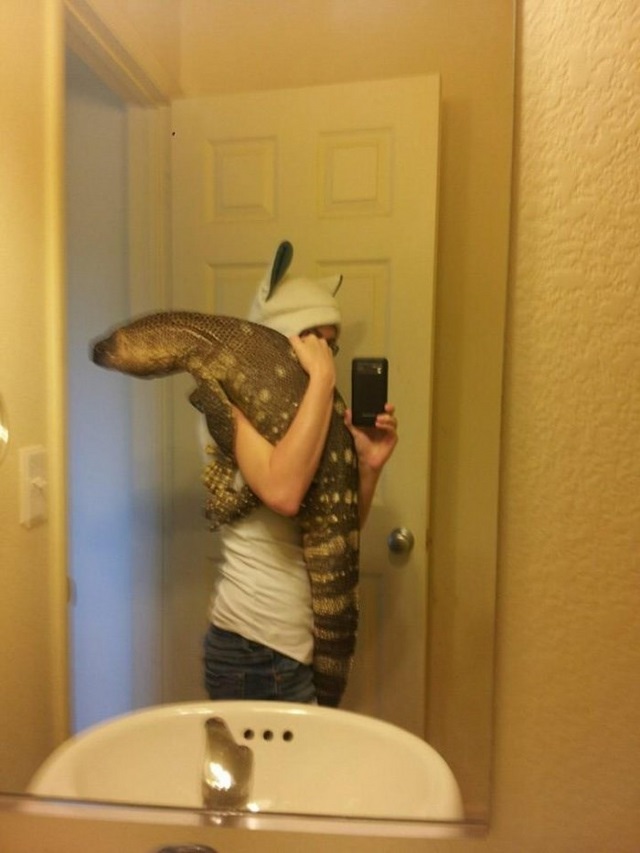 Un reptile en animal de compagnie - 2