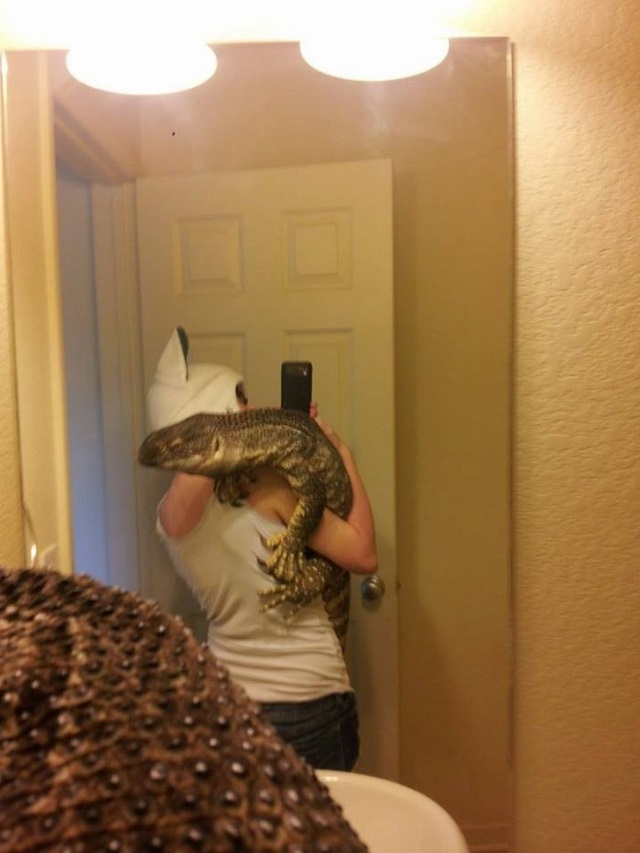 Un reptile en animal de compagnie - 3