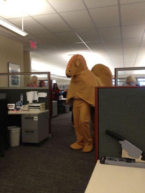 Blagues au travail - 15