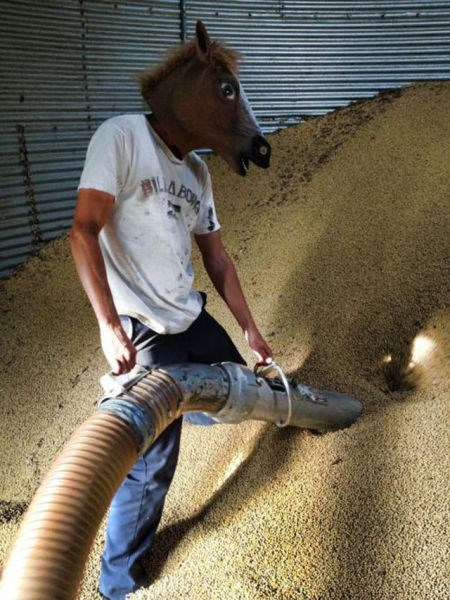 Blagues au travail - 20