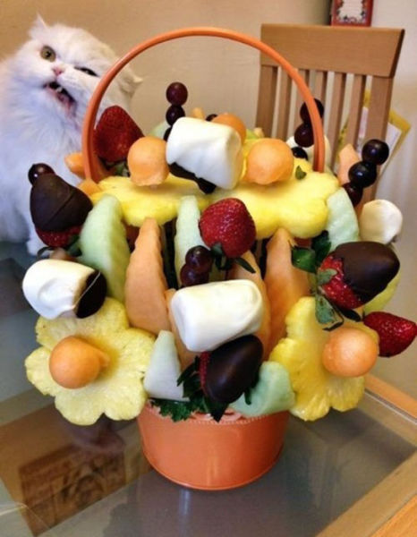 L'art du photobombing - 12