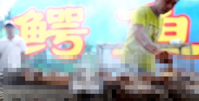 Des brochettes vraiment trs spciales