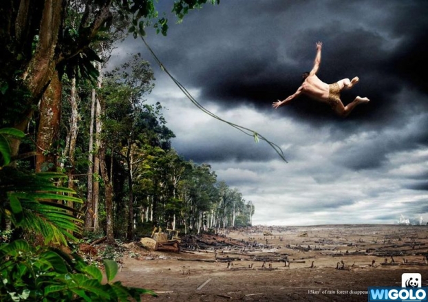 Publicité pour le WWF