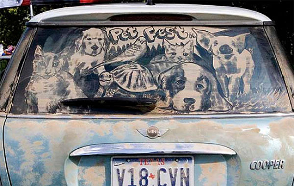 Dessins sur des voitures sales - 5