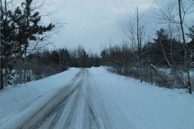 Chats sauvs de la mort - 5