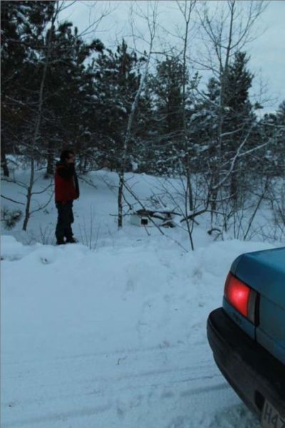 Chats sauvs de la mort - 6