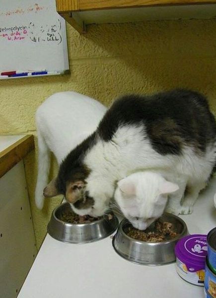 Compilation de fails - 16