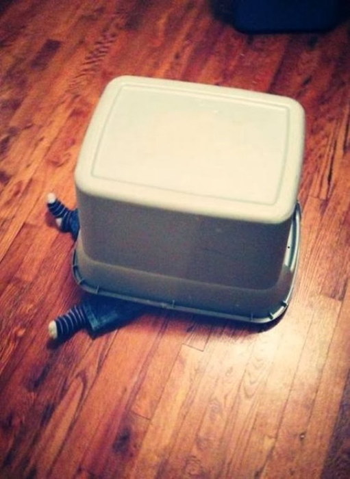 Enfants nuls au cache-cache - 4