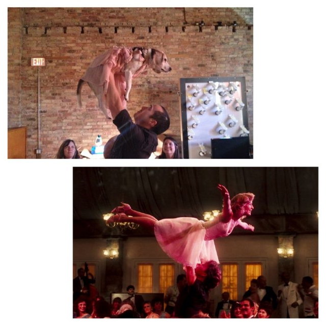 Films refait avec un chien (Dirty Dancing (1987))