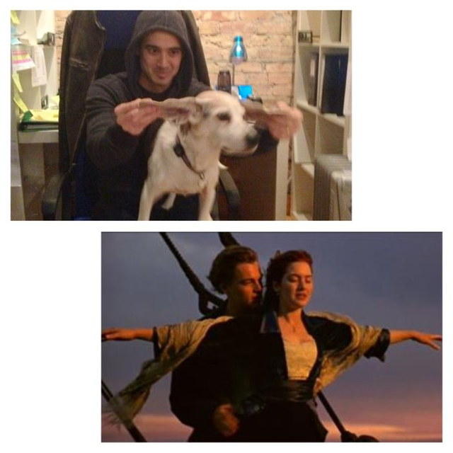 Films refait avec un chien (Titanic (1997))