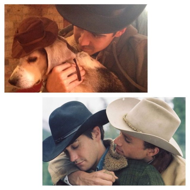 Films refait avec un chien (Brokeback Mountain (2005))