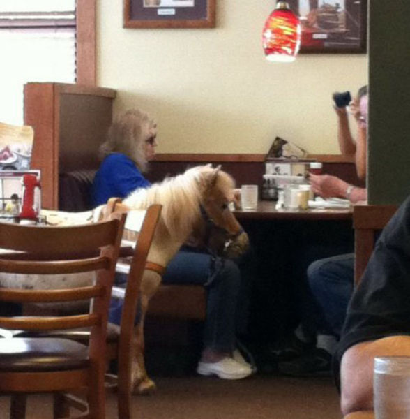 DEs photos de fin du monde - 17