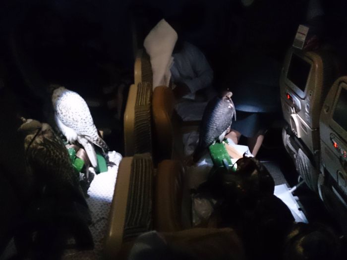 Etranges passagers d'un avion - 4