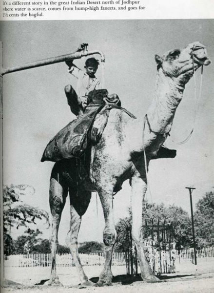 Photos marrantes de Life Magazine - 13