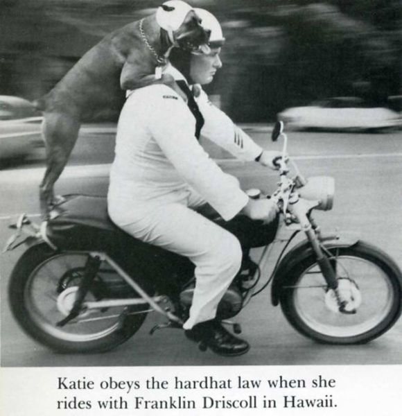 Photos marrantes de Life Magazine - 16