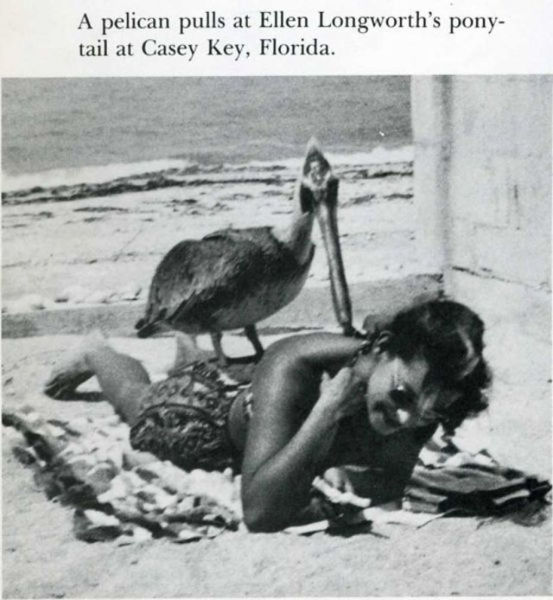 Photos marrantes de Life Magazine - 17