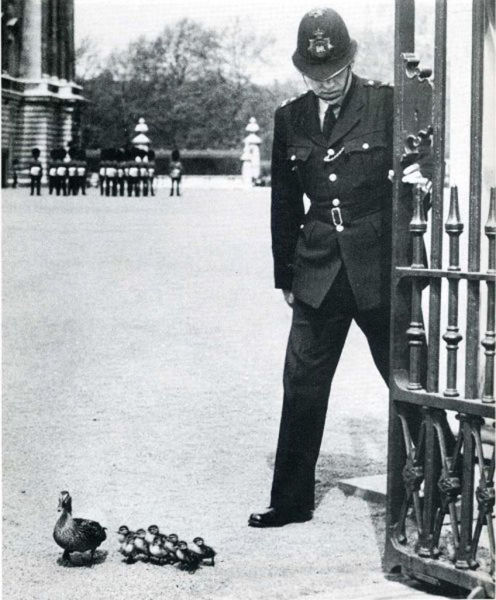 Photos marrantes de Life Magazine - 28