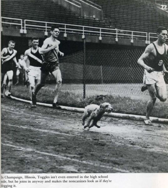 Photos marrantes de Life Magazine - 5