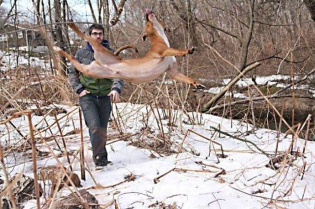 Prises de vue rates - 1