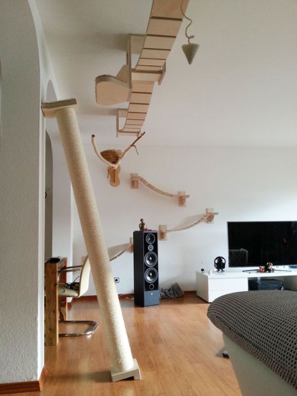 Aire de jeux pour chats - 1