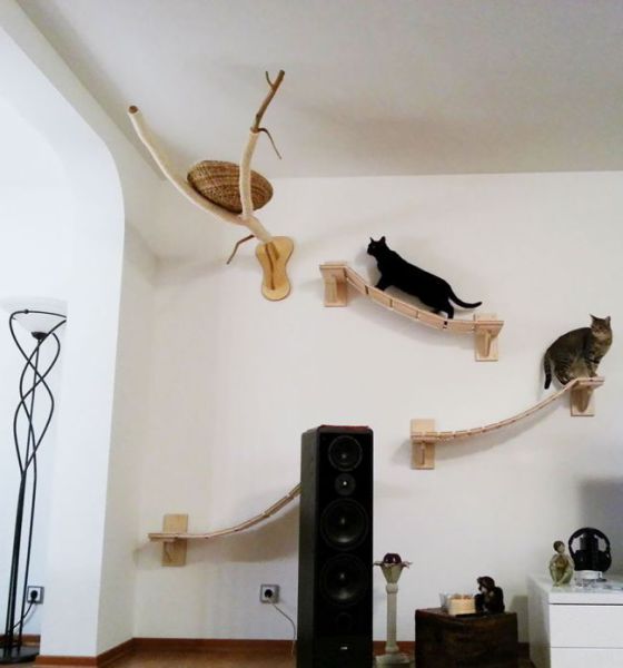 Aire de jeux pour chats - 7