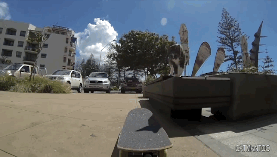 Chat sur un skateboard - 6