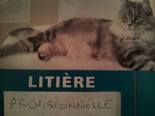 Laissez parler les petits papier - 10