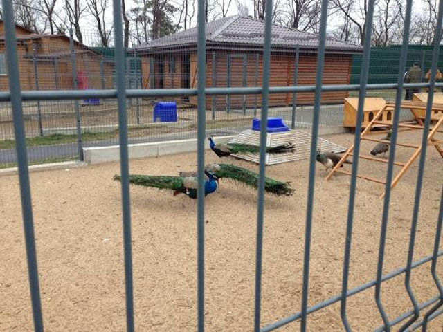 Photos de la rsidence du prsident Ukrainien - 15